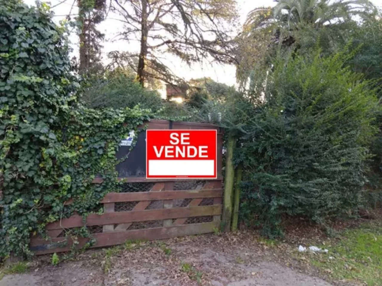 porton de entrada por calle fleming