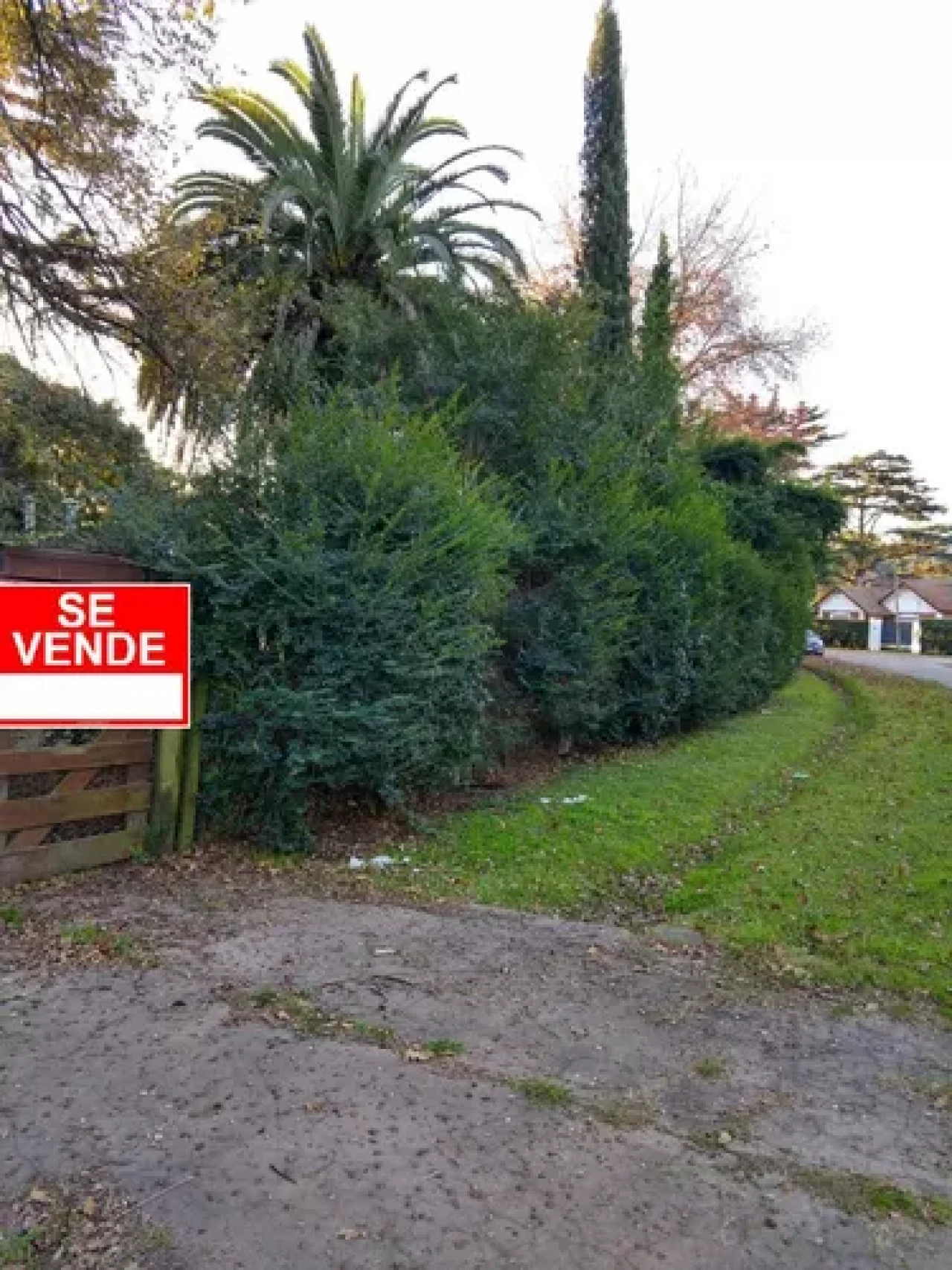 esquina, entorno
